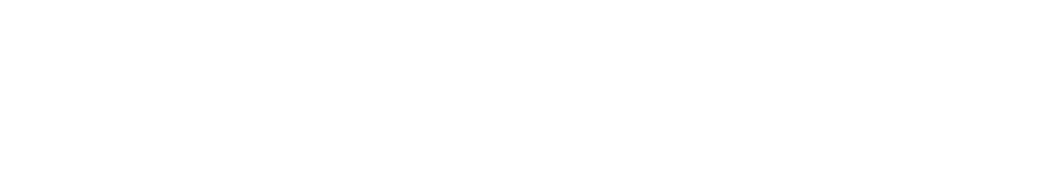 Pro-ws