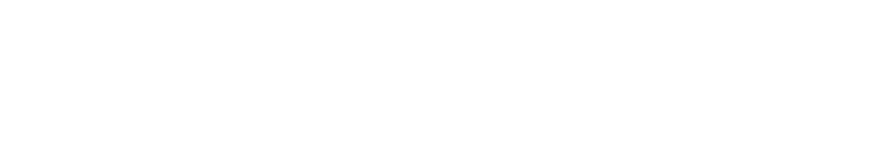 Pro-ws